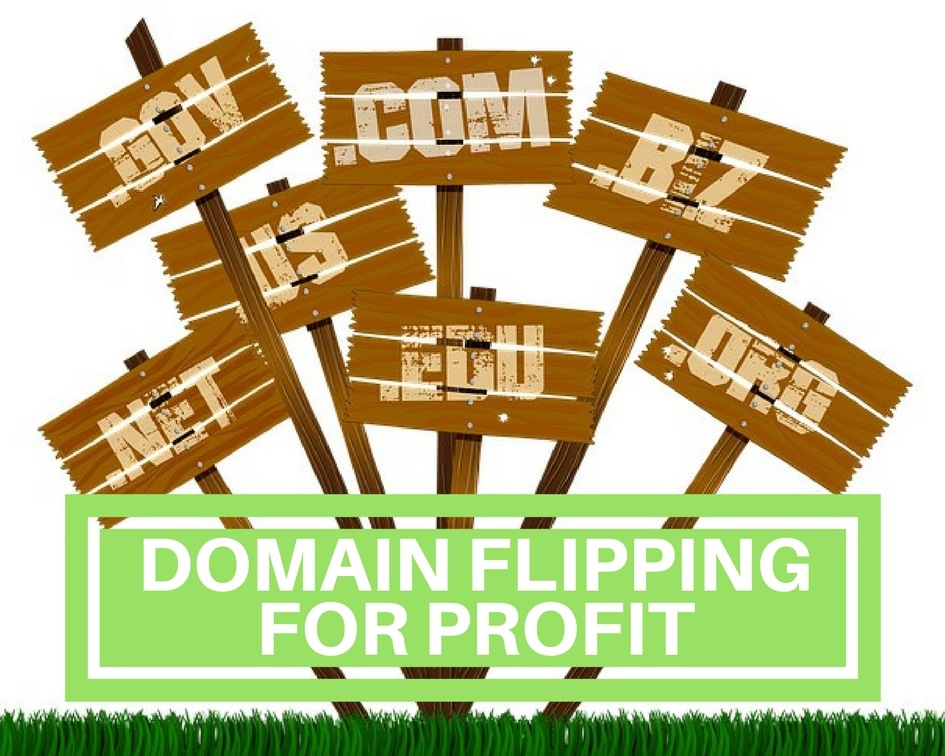 make money flipping domain names